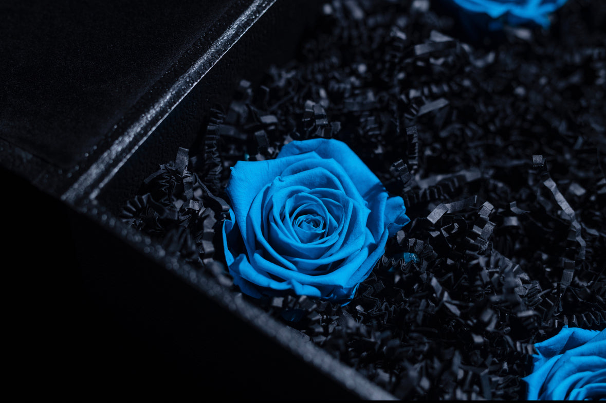 BLUE FOREVER ROSES