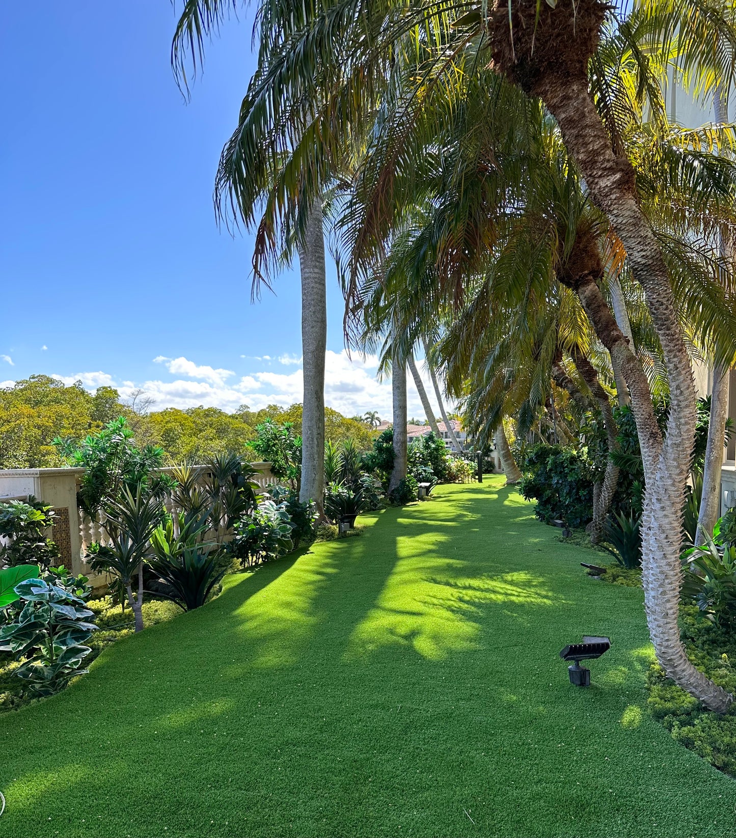 FAUX PLANTS & TURF GRASS