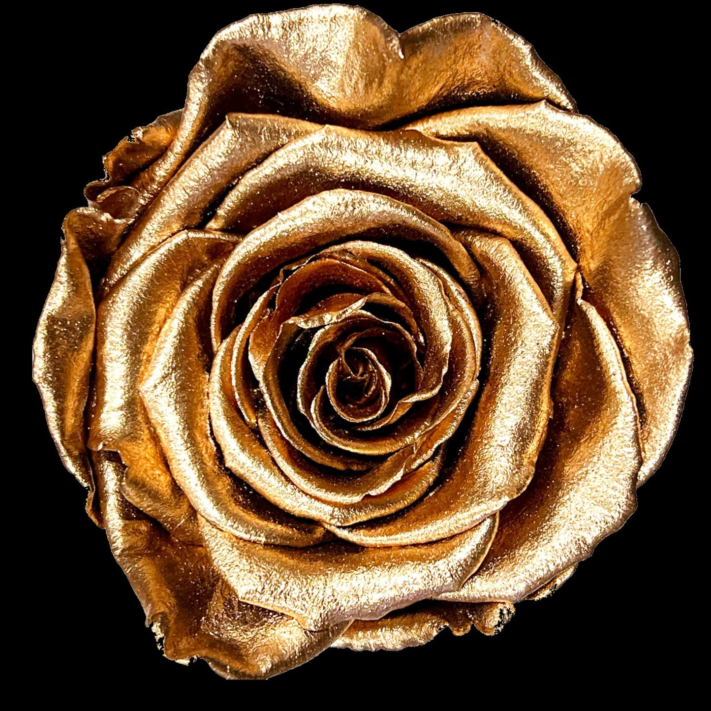 LOVE Luggage Forever Rose Gift Box - PRESERVED ROSES