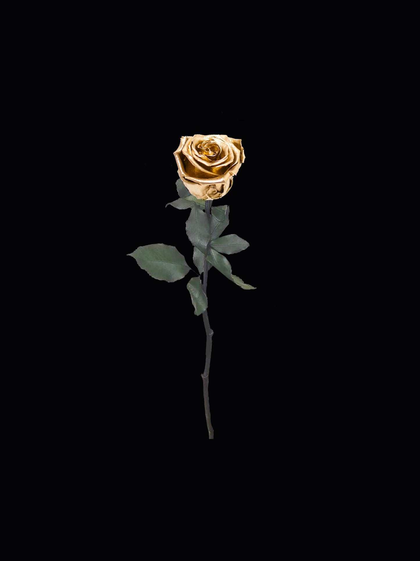 Gold Single Stem Forever Rose