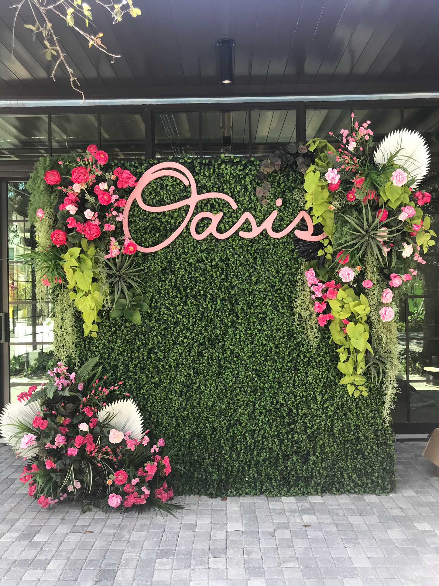 The Oasis