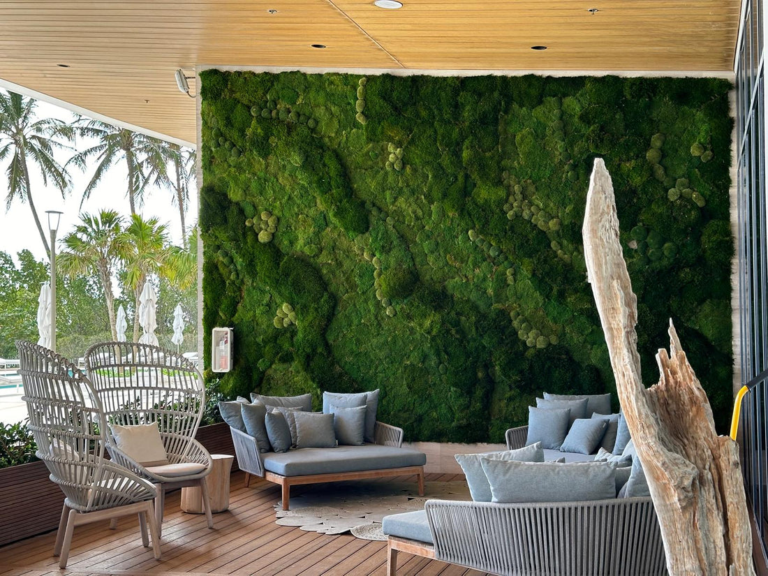 LIVING MOSS WALLS