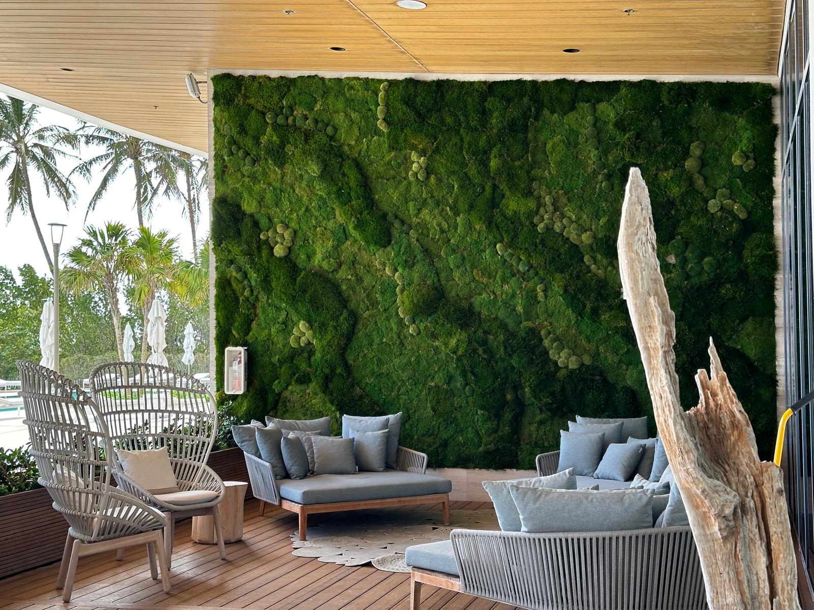 LIVING MOSS WALLS