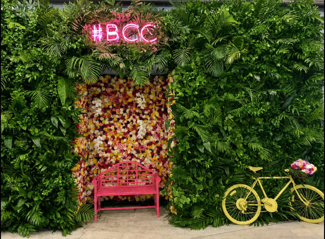 BCC - Dare to fly Installations