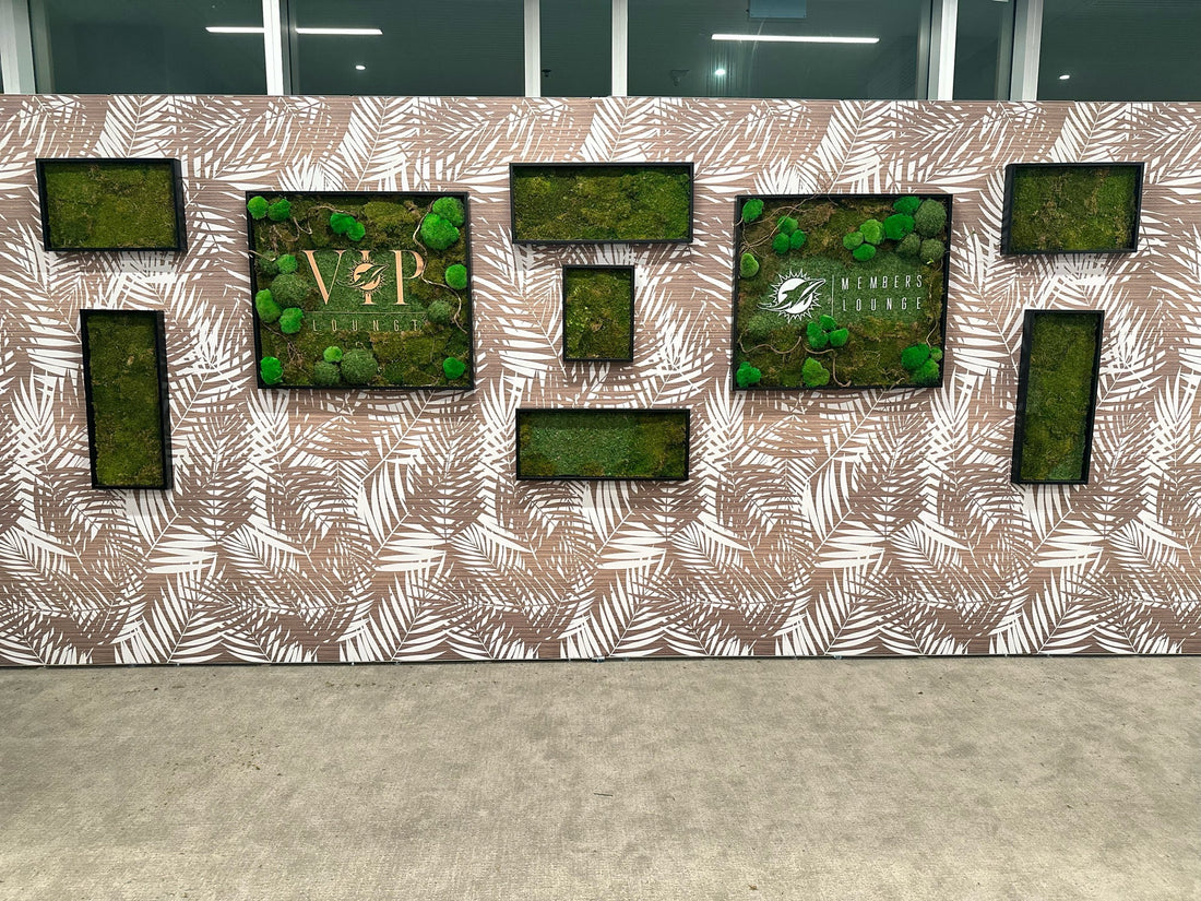 CUSTOMIZED MOSS FRAMES