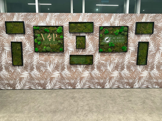 CUSTOMIZED MOSS FRAMES