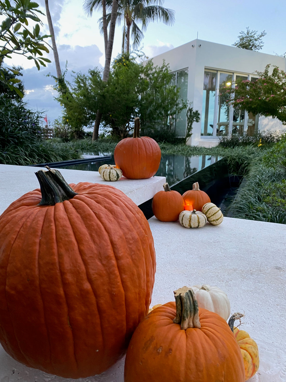 HALLOWEEN EXPERIENCE - PRIVATE HOME MIAMI BEACH