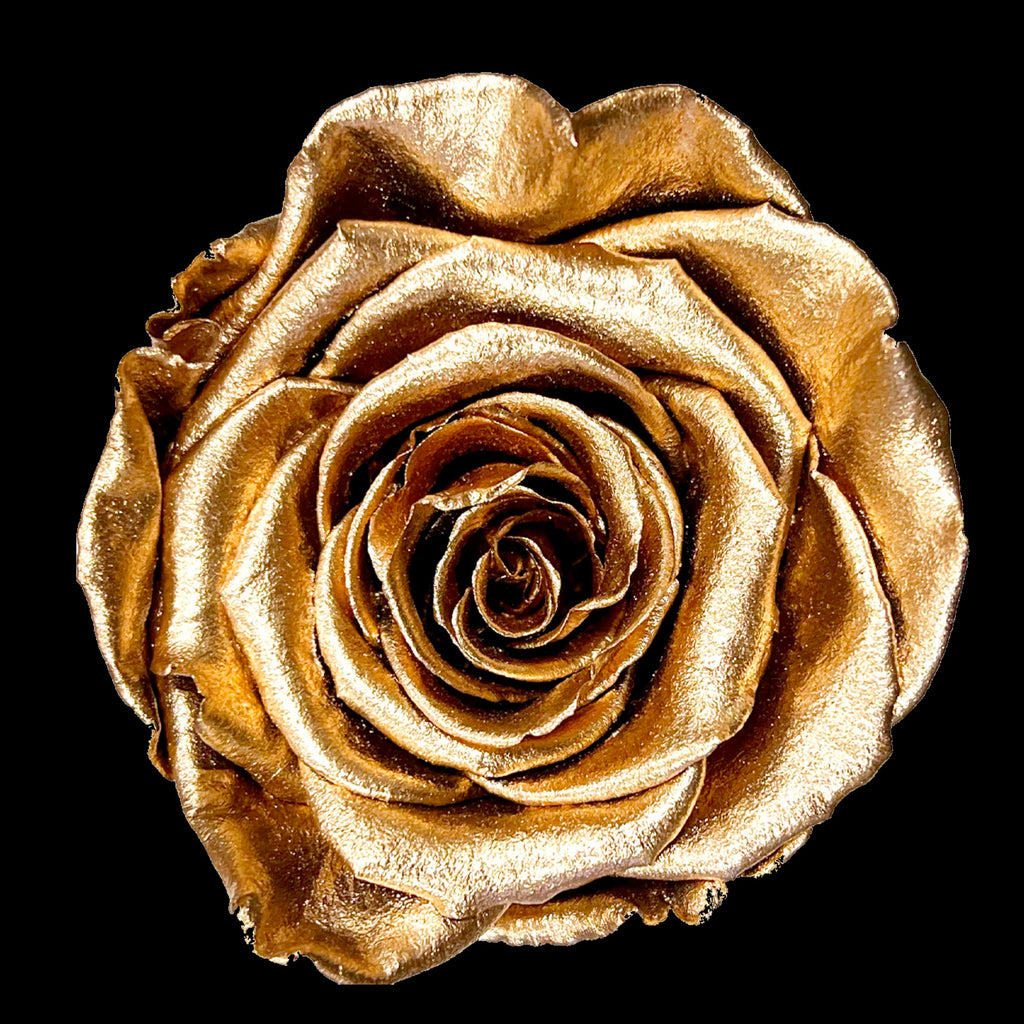 I LOVE U FOREVER ROSE BOX