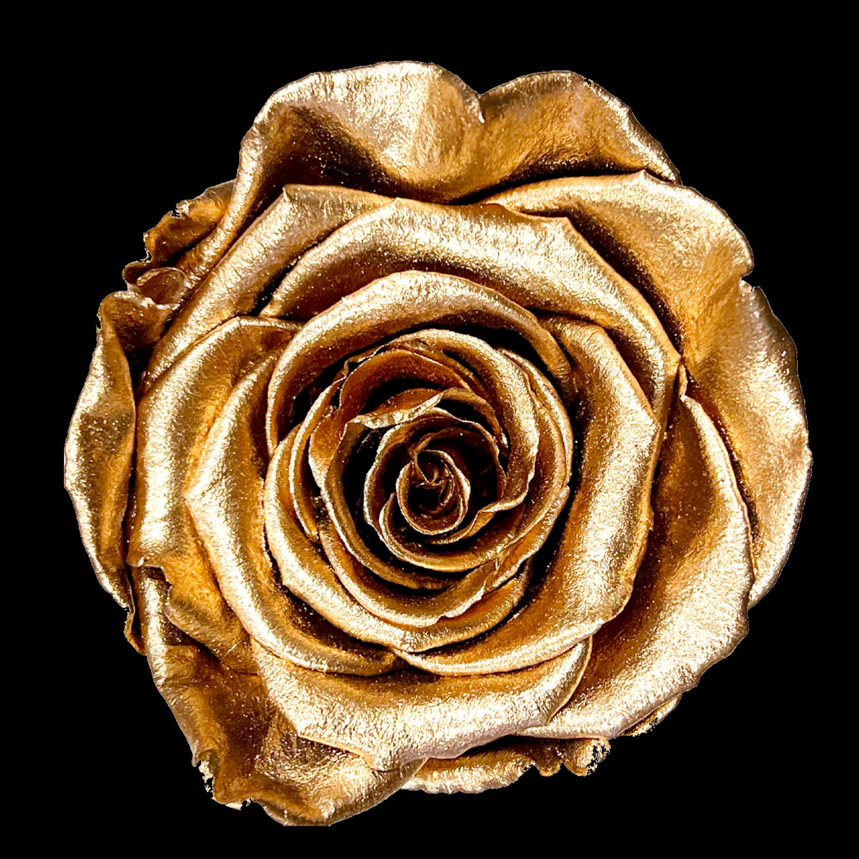 I LOVE U FOREVER ROSE BOX