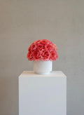 Garden Rose Globe arrangement
