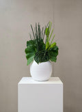 Tropical Greenery arrangement