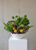 Monstera arrangement