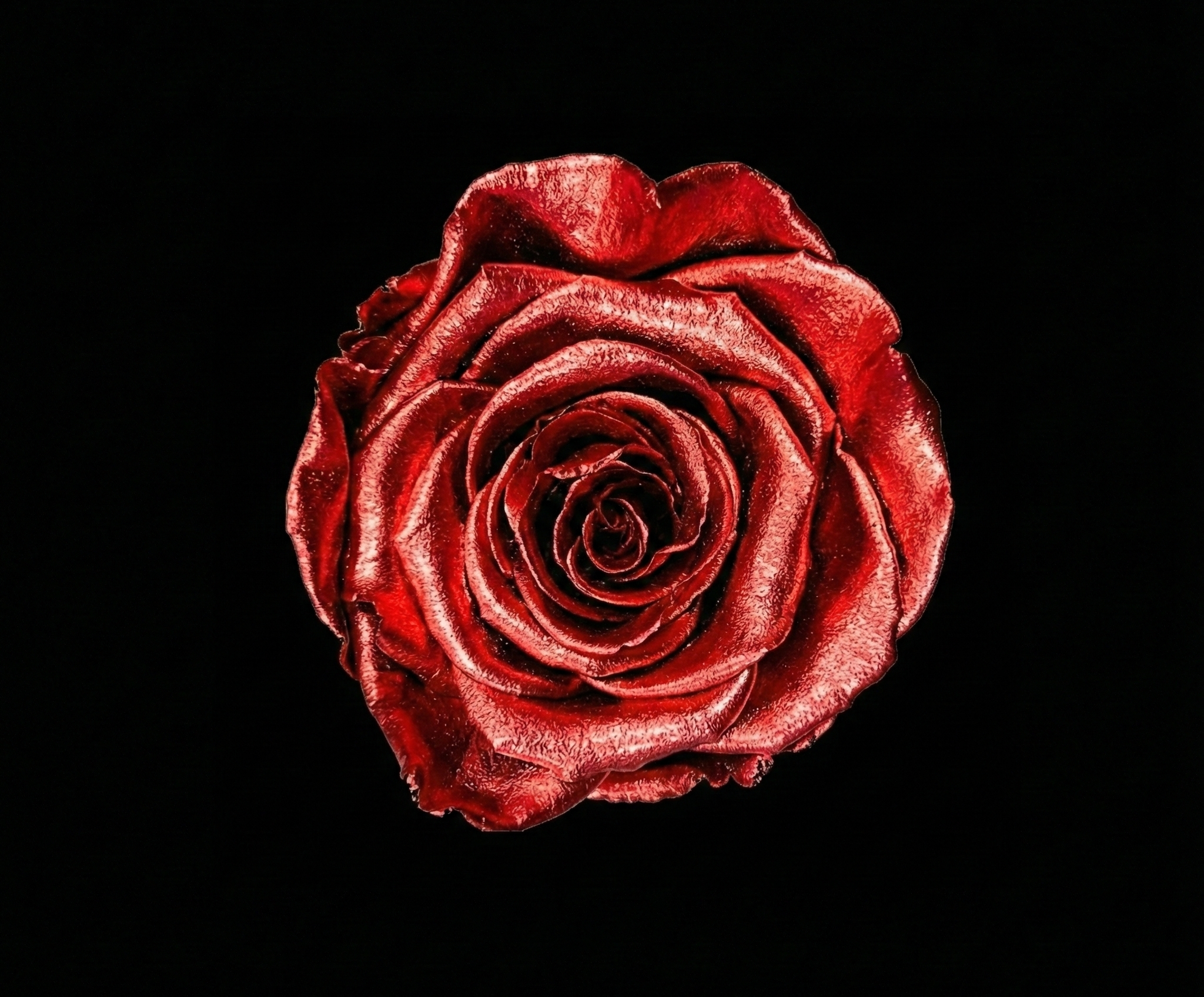 Forever Rose Arrangement in a Gift Box