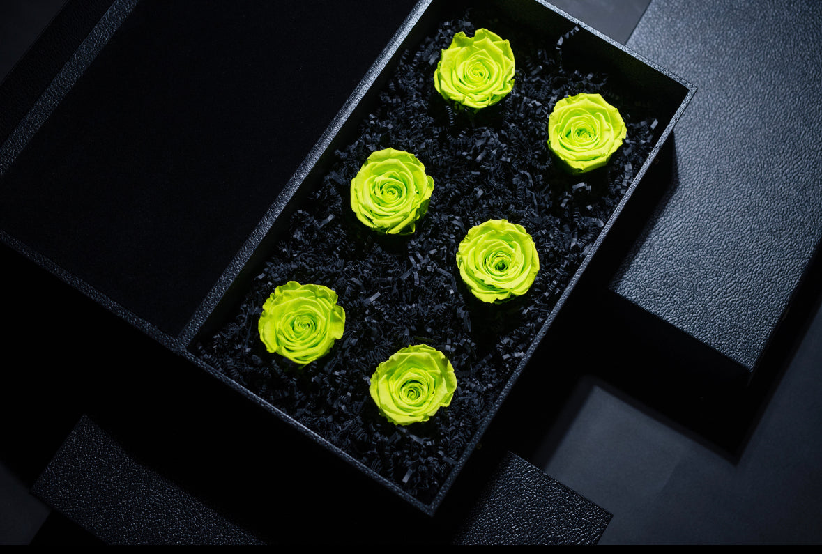 NEON GREEN FOREVER ROSES – Oh My Garden, What The Flower