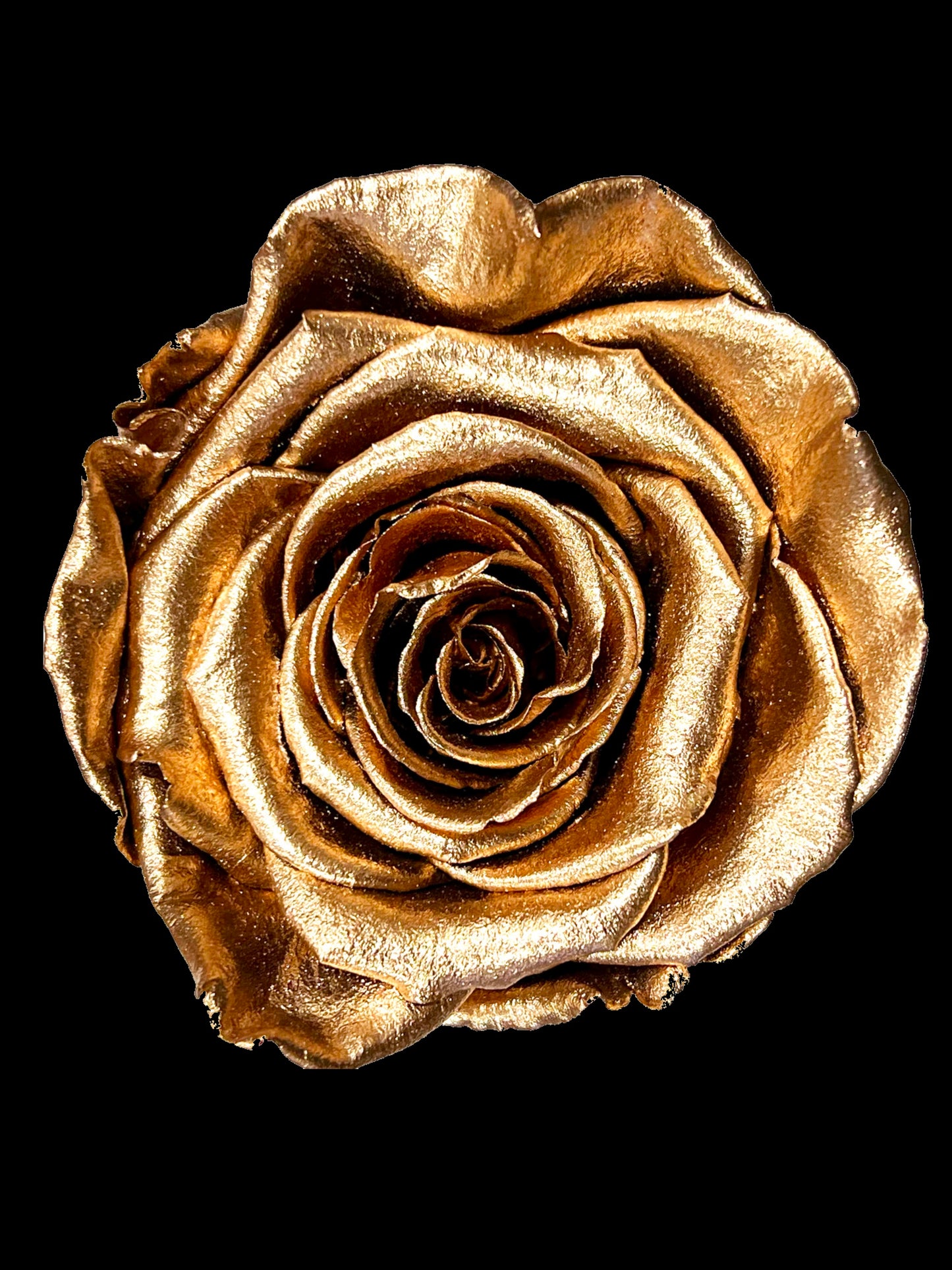 Luxury Long Stem Forever Rose Gift Box