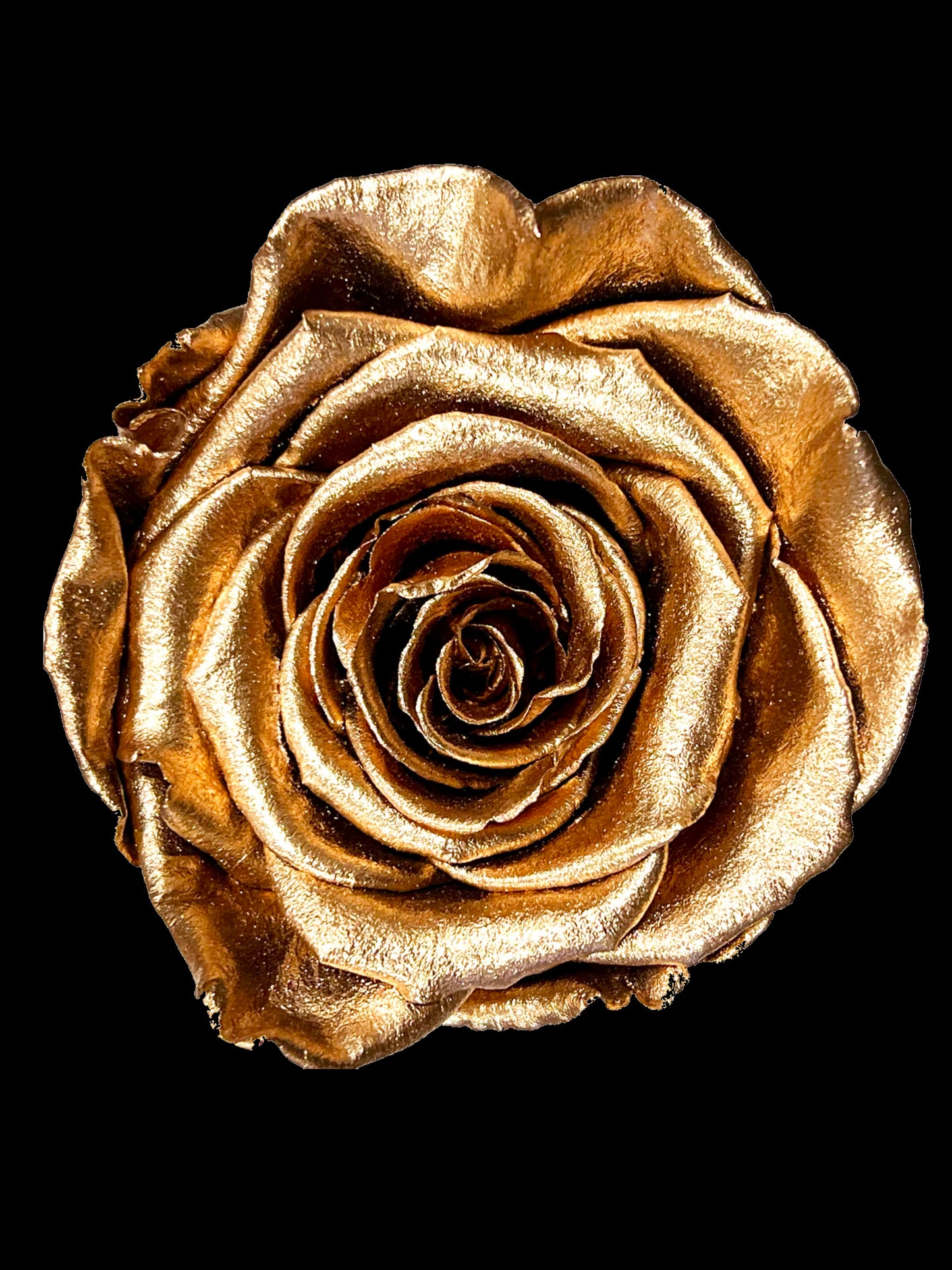 Luxury Long Stem Forever Rose Gift Box - PRESERVED ROSES
