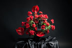Red Anthurium & Roses Arrangement | Modern Floral Design