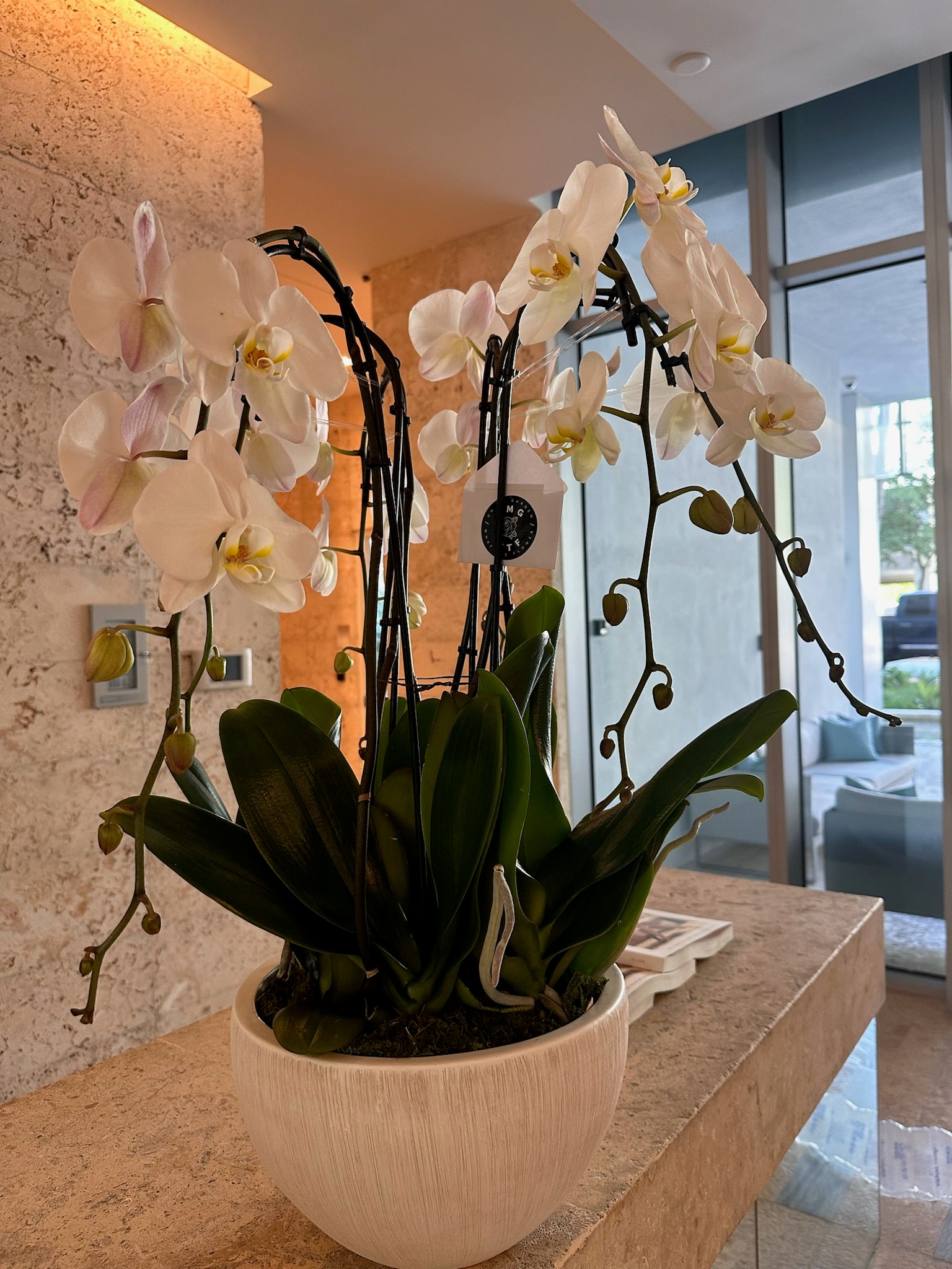 NATURAL ORCHID ARRANGEMENT