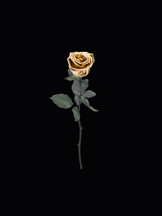 Gold Single Stem Forever Rose