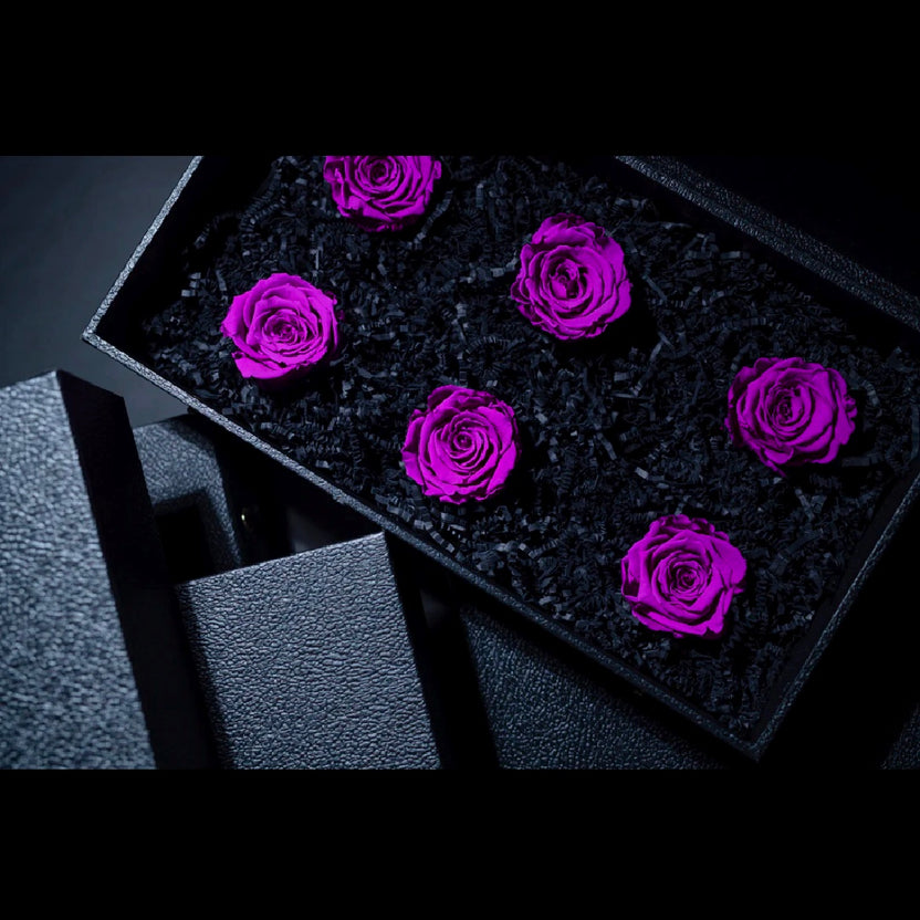 PURPLE FOREVER ROSES – Oh My Garden, What The Flower