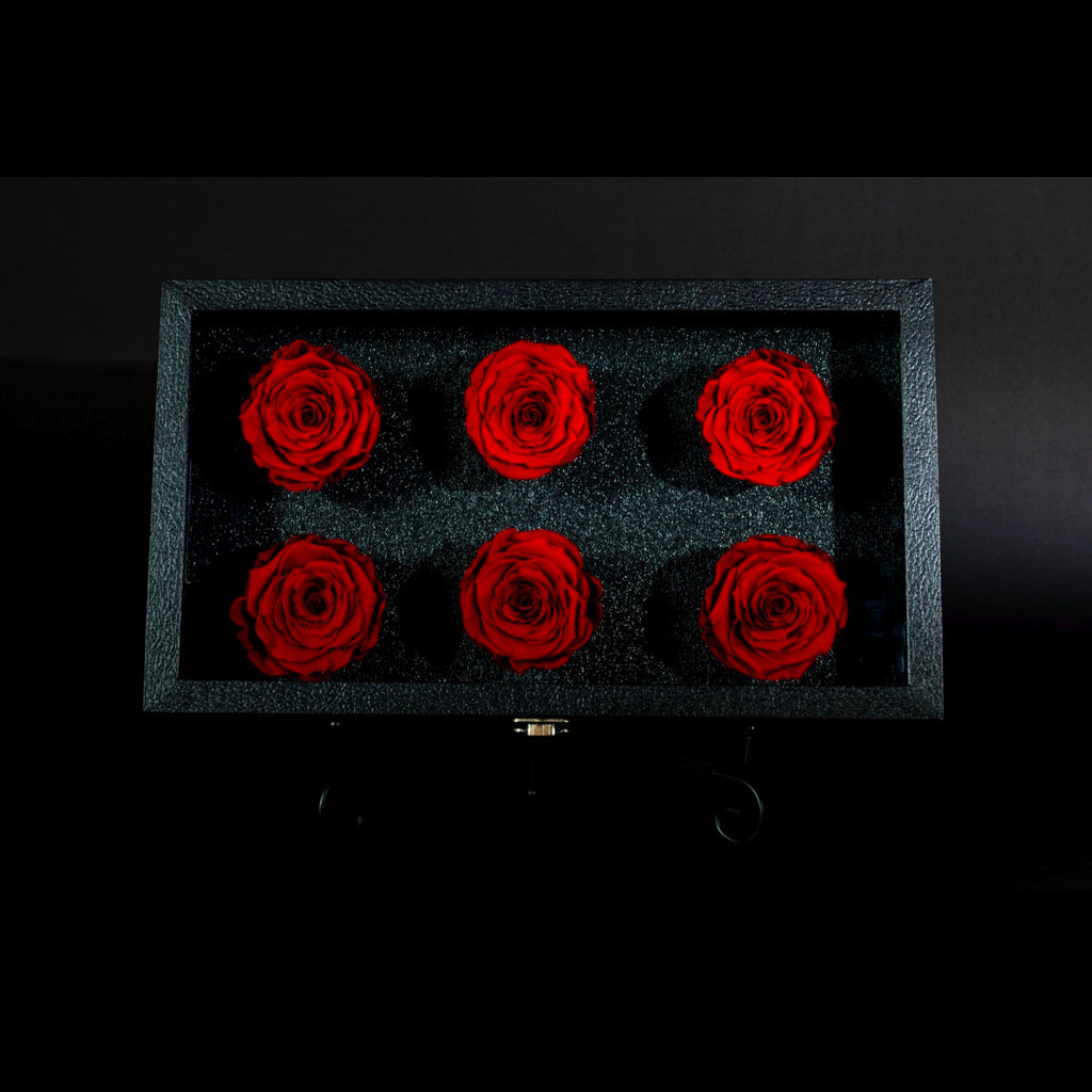Glass Top Floral Box - PRESERVED ROSES