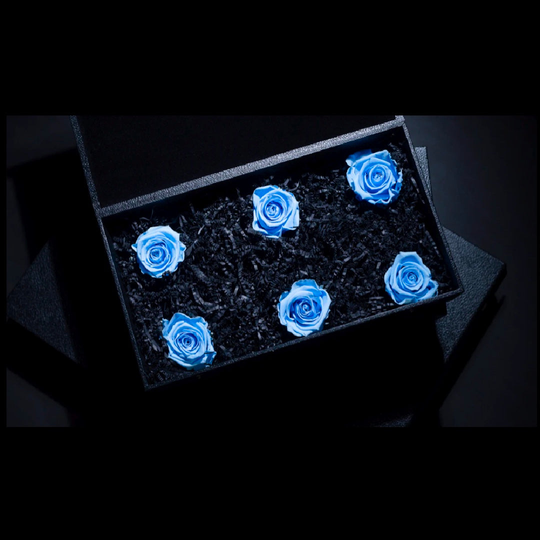 LIGHT BLUE FOREVER ROSES