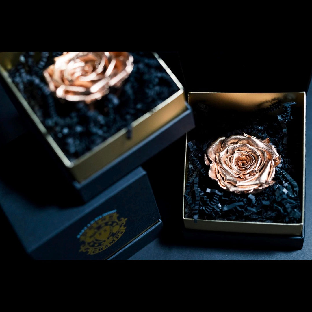 DRINK CHAMPS -   1 Rose Gift Box