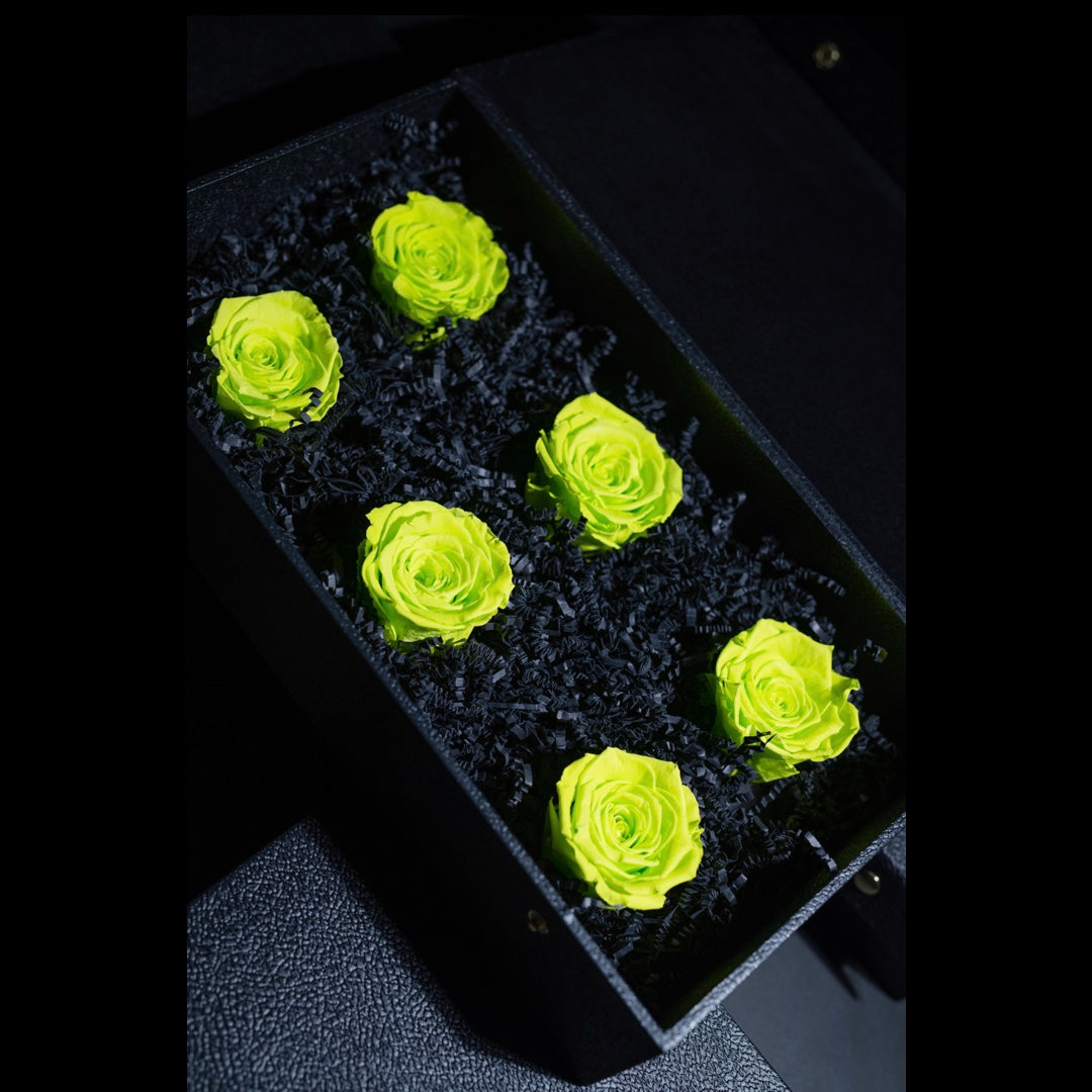 NEON GREEN FOREVER ROSES – Oh My Garden, What The Flower