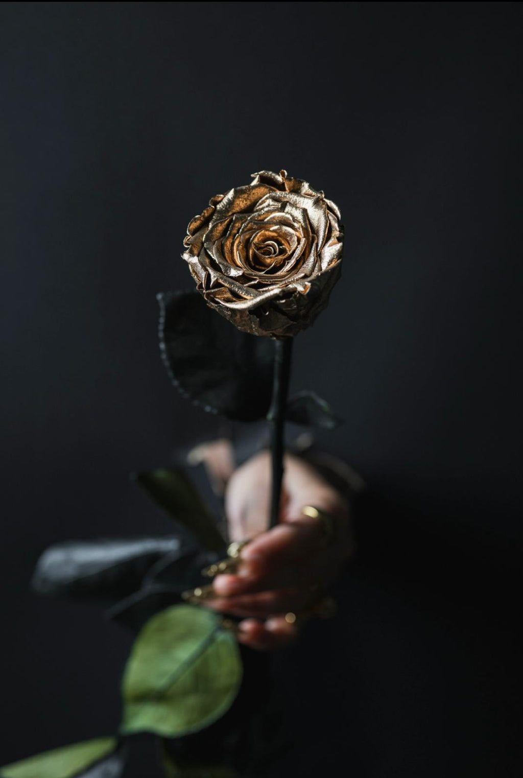 Single Stem Forever Roses