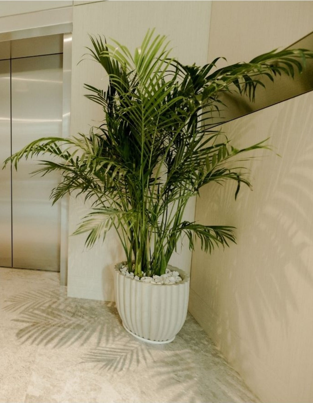 Integrated Botanical Design