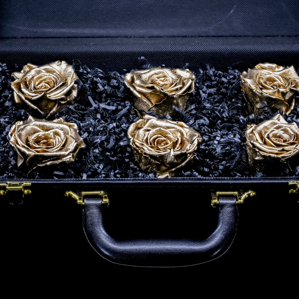 DRINK CHAMPS - 6 Rose Briefcase - PRESERVED ROSES