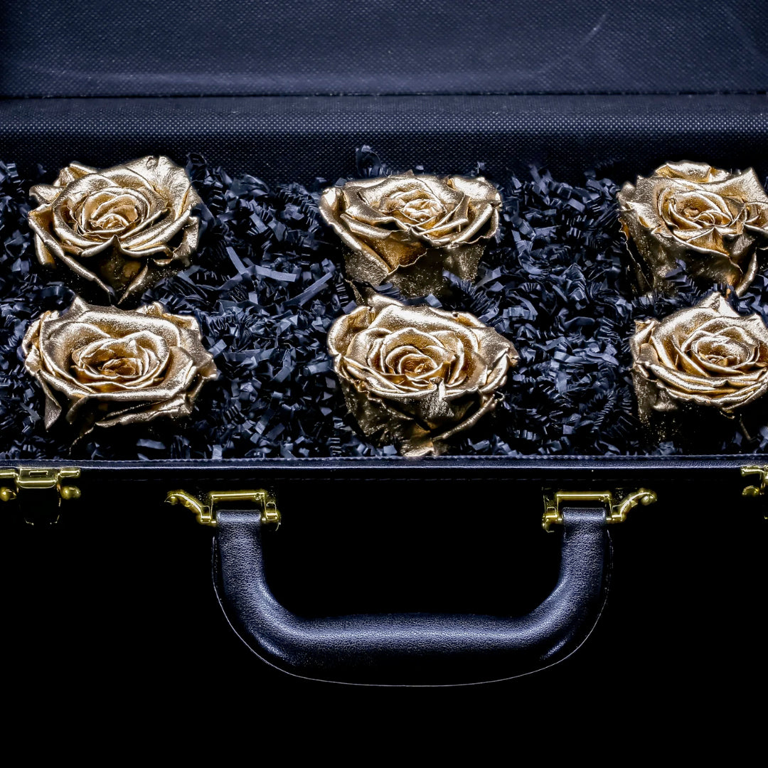 DRINK CHAMPS - 6 Rose Briefcase - PRESERVED ROSES