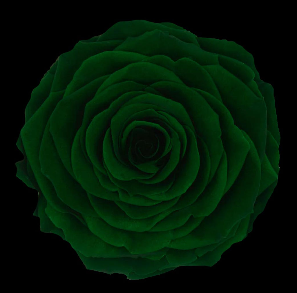 100 STEM FOREVER ROSE BALL - PRESERVED ROSES