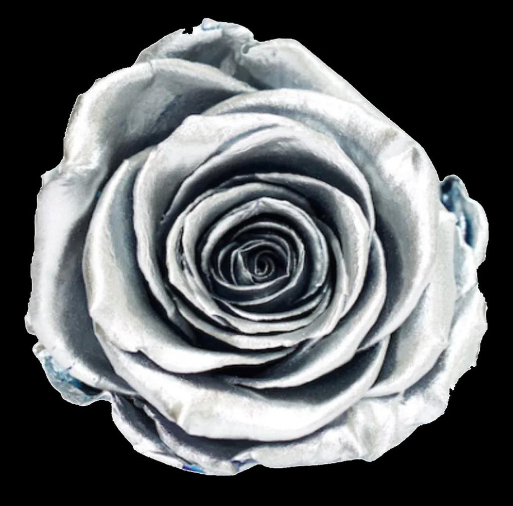 100 STEM FOREVER ROSE BALL - PRESERVED ROSES