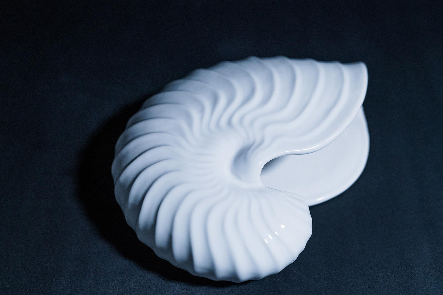 Sea Shell Pot