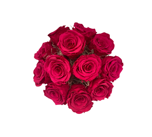 Dozen Forever Roses