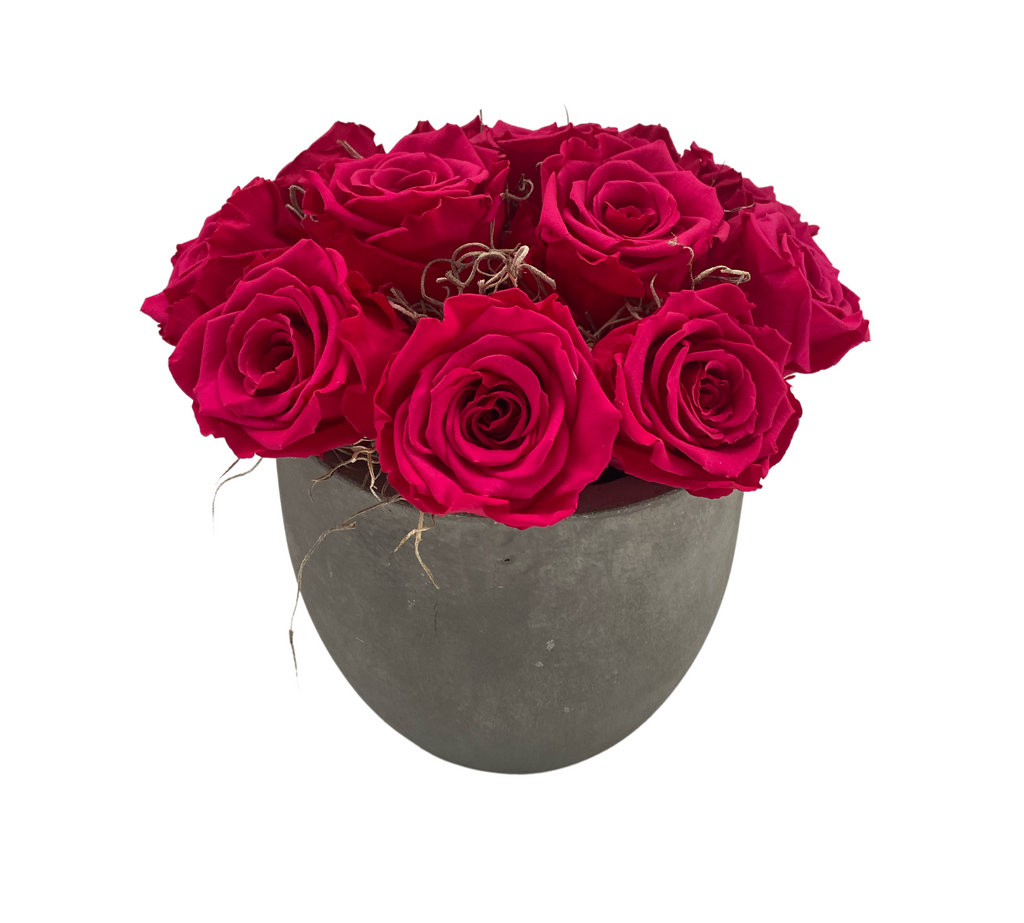 Dozen Forever Roses