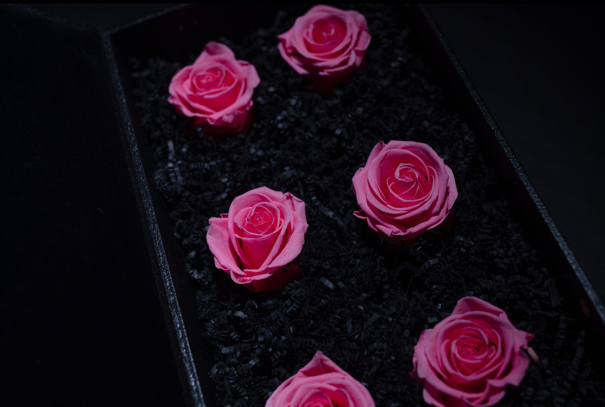 LIGHT PINK FOREVER ROSES