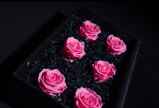 LIGHT PINK FOREVER ROSES