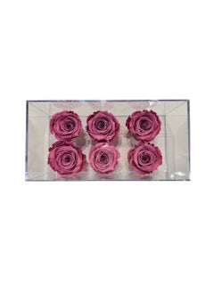 6 FOREVER ROSE GIFT BOX