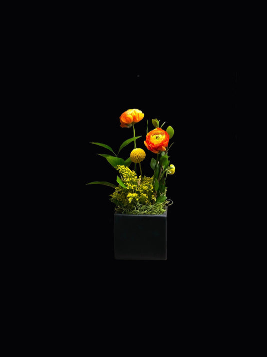 Arrangement